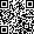医院公务用车租车服务采购项目（LZZC2023-C3-990638-JDZB）废标公告